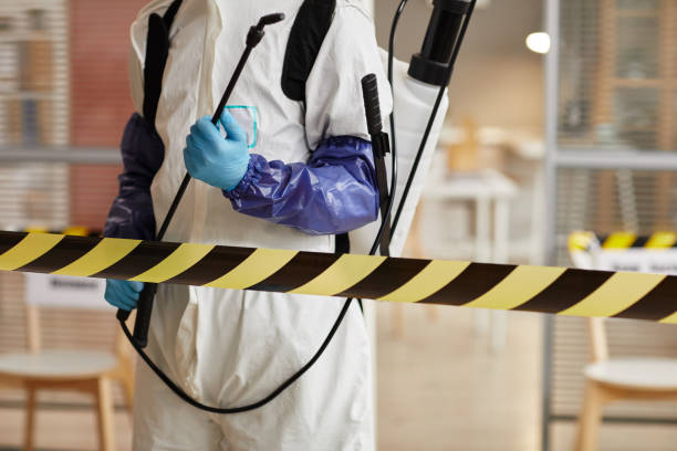 Professional Odor Removal technician working in Mesa, WA