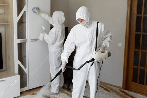 24/7 Emergency Odor Removal experts in Mesa, WA