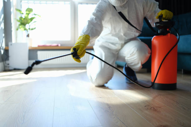 Reliable Odor Removal contractor in Mesa, WA by Trauma Clean Pros